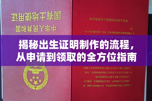 洪山揭秘出生证明制作的流程，从申请到领取的全方位指南