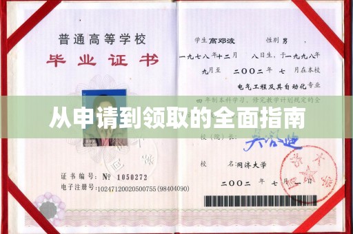 洪山从申请到领取的全面指南