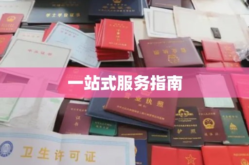 洪山一站式服务指南