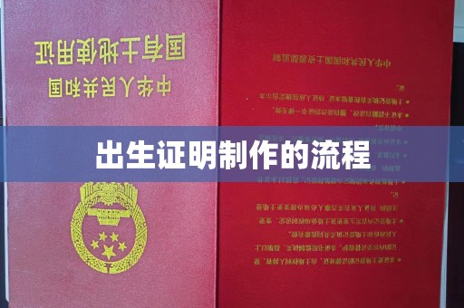 洪山出生证明制作的流程