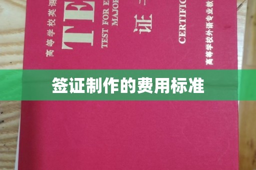 洪山签证制作的费用标准