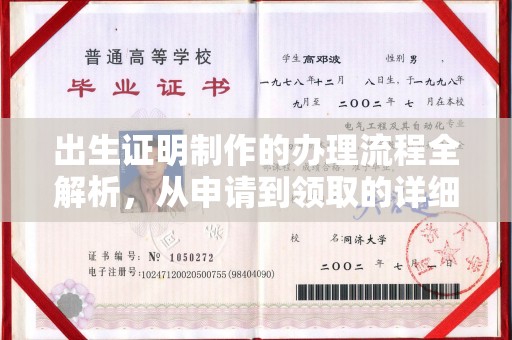 洪山出生证明制作的办理流程全解析，从申请到领取的详细指南