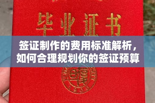 洪山签证制作的费用标准解析，如何合理规划你的签证预算