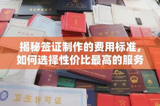 洪山揭秘签证制作的费用标准，如何选择性价比最高的服务？