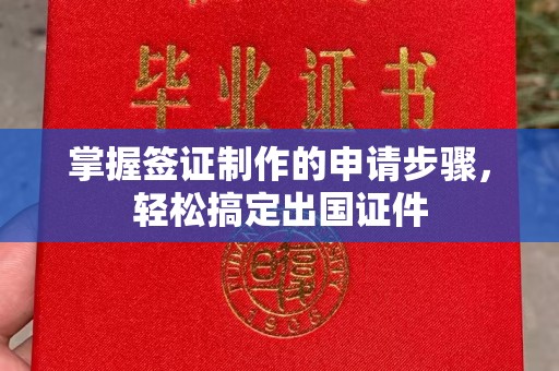 洪山掌握签证制作的申请步骤，轻松搞定出国证件