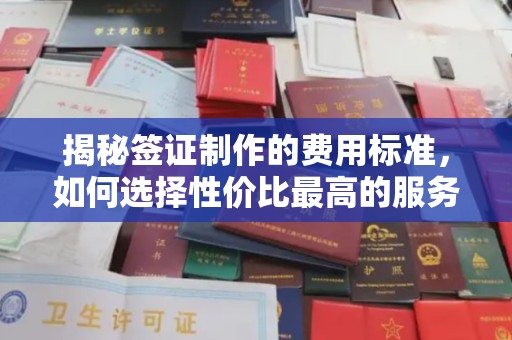 洪山揭秘签证制作的费用标准，如何选择性价比最高的服务？
