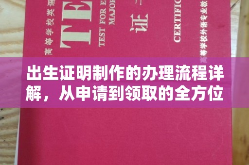 洪山出生证明制作的办理流程详解，从申请到领取的全方位指南
