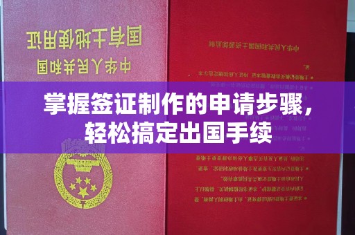 洪山掌握签证制作的申请步骤，轻松搞定出国手续